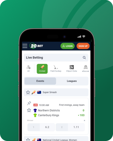 What's An Online Sportsbook And Why Now Everyones Betting There